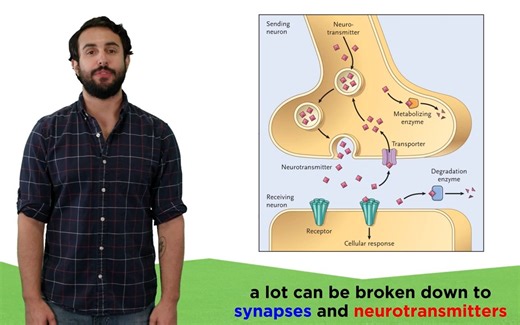 1.Introduction_to_Biopsychology
