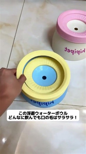 春の散歩帰り、犬が水を飲んで口の周りびしょびしょ？この浮遊ウォーターボウル、飲んでも口が濡れない！ #ウォーターボウル #春の散歩 #給水 #便利グッズ #お手入れ簡単