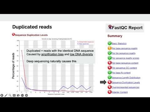 3000788 Fall 2025 L4 - Sequencing data processing