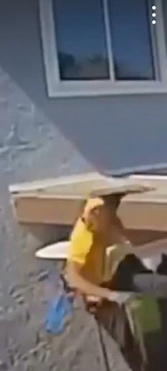 Ladder Fall Incident