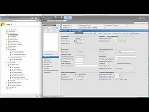 Wie richte ich Abacus Cloud Lohnbuchhaltung ein