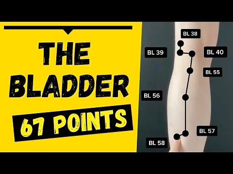 The Bladder Channel/Meridian 67 Acupuncture Points (Functions & Locations)