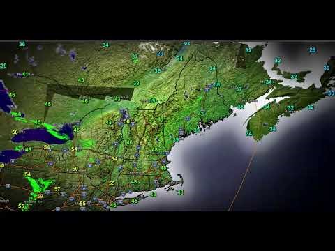 LIVE 24 hour Weather