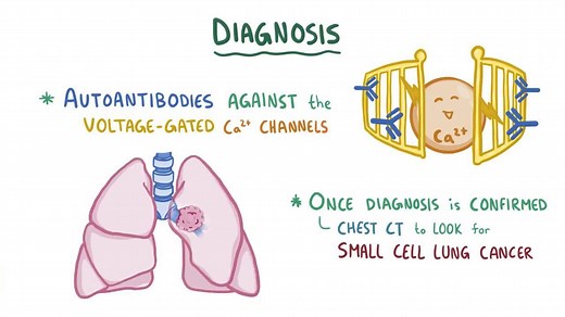 Video: Lambert-Eaton myasthenic syndrome - Video Explanation! | Osmosis | Osmosis