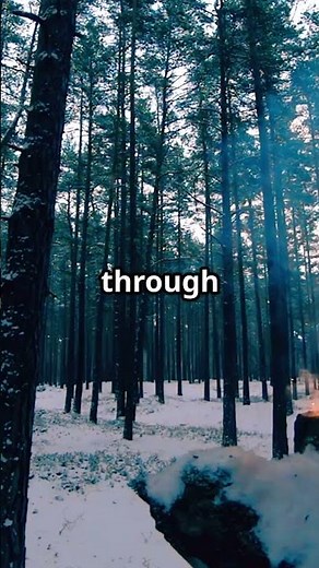 Trees Can EXPLODE?! 💥 Cold Weather Can Make Them Pop #Shorts