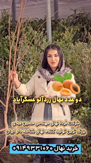 #نهال #زراعت #باغ #ترفند #شمال #نهالستان #کشاورزی #خریدنهال #باغبانی #باغداری