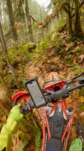 21 reactions · 4 comments | I have my limits. Love the Fall colours out here though. | David Baumann | Facebook