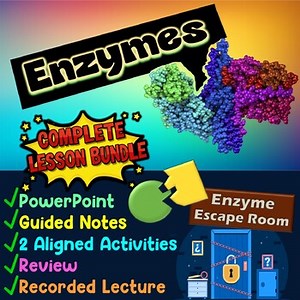 Enzymes Complete Lesson Bundle