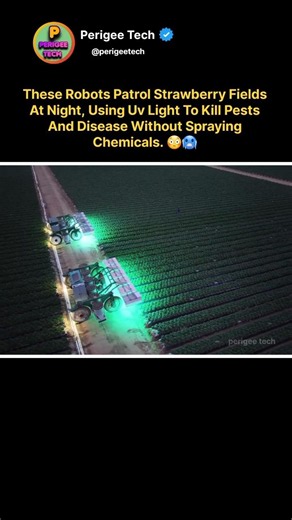 These Robots Protect Crops While Farmers Sleep 😳🤖🍓
