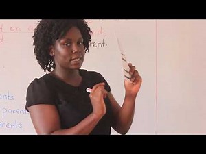 Science Primary Five By Tr Hardijjah Kampala Junior Academy