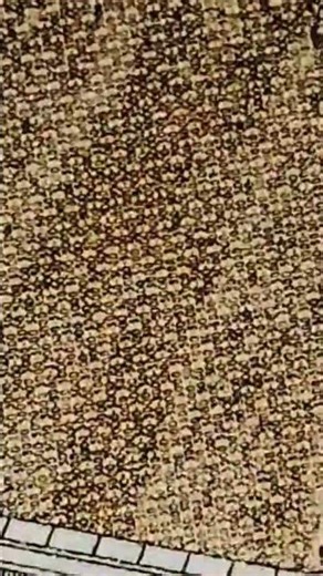 10x zoom 5000 note #trendingshorts #viralvideo #youtubeshorts #viralvideo #viralvideo #viralshort