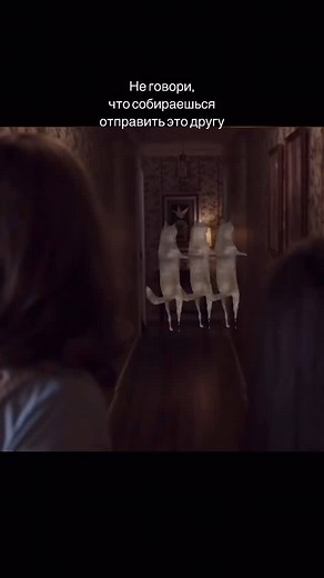 @dancer_wolves_ | Showing my friends that I can reach 100k followers by posting this video within a year. | Instagram