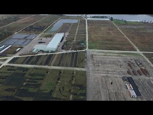 NWS confirms an EF-0 tornado touched down in Berkeley County