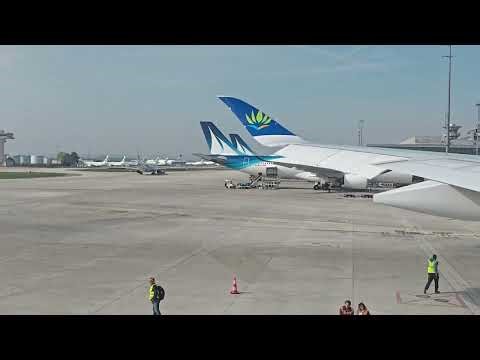 Orly 4 Plane Spotting + Window View Flight | Air Caraïbes A350-1000 ORY–PTP (TX540) - [4K]