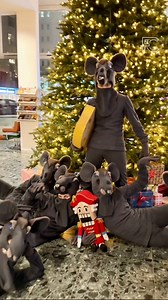 The Nutcracker mice are ready for Christmas ✨🐭🎁 Join us this pre-Christmas season. Don’t miss the magic 🐭🎄✨🎟️ Tickets on franceconcert.fr #franceconcert #ballet #classicalballet #thenutcracker #rotterdam #christmasballet | Franceconcert