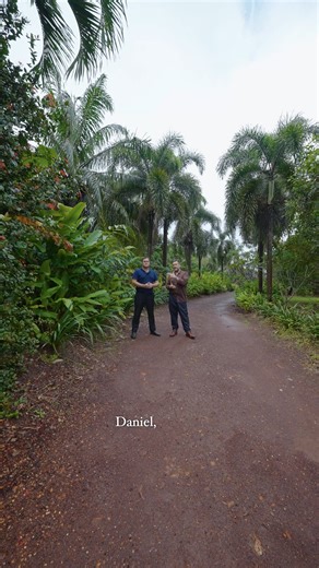 365 Bronzewing Avenue, Howard Springs NT