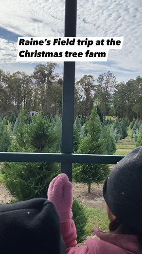 23 reactions | Christmas tree farm #reels #christmastree #farm #america #Philippines | Ville Family | Facebook