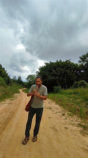 QUENA ANDINA SOL MAYOR ANDEAN FLUTE QUENA FROM PERU . JUNGLE MUSIC #flute #shamani #quena #quena