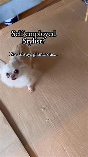 Looks like I’m decorating again, this time a private space just for little me. As you all know interiors have always interested me and this time I’m going for simplicity with a conservatory twist. Looking forward to welcoming you here. Beauty Queenz @sheptonbeauchamp | Penhalagans