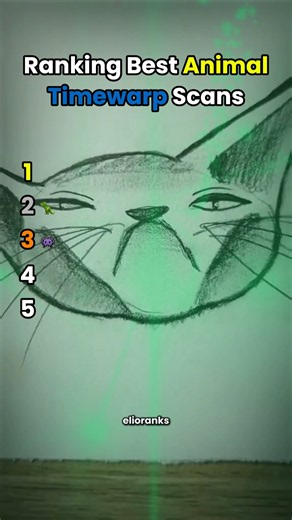 Ranking Best Animal Time Warp Scans