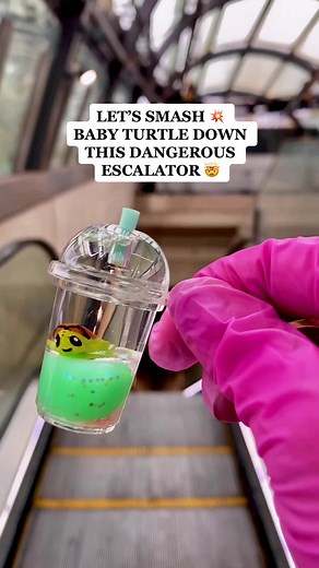 Baby Turtle Down a Dangerous Escalator: Tragic Loss 😢