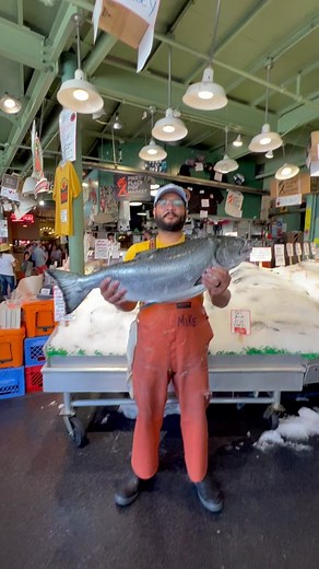 Delicious King Salmon Recipes - Seattle Seafood Lover's Dream!