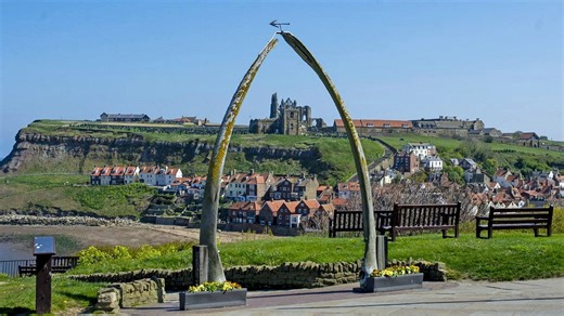 Uproar over council's plan to slaughter whale for seafront monument