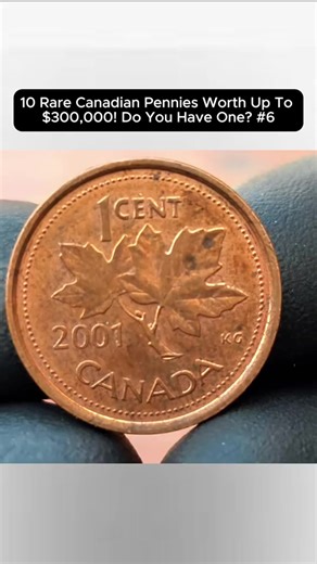 10 Rare Canadian Pennies Worth Up To $300,000! Do You Have One? #6 #oldcoin #worthit #numismatics #moneytok #worth | wonderfullyordinary