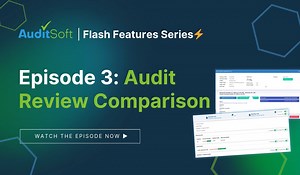 Flash Features | Episode 3: Audit Review Comparison
