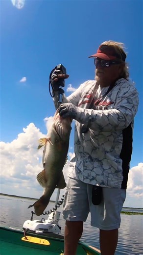 Big South Florida Bass #smallwatercharters #bruiserbaits #floridabass