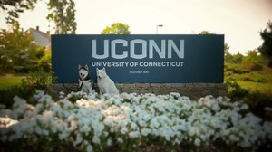 98K views · 2.6K reactions | Patiently waiting for move-in weekend... | UConn | Facebook