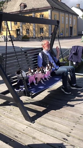 Celebrating Mom's Birthday with Our Boston Terrier