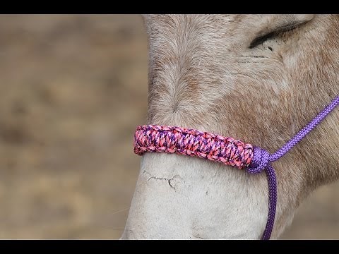 How to make a braided paracord noseband for a horse halter. Step by step instructions.
