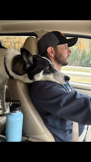 Race Weekend Accomplished!! This was the last one until sled season! | Summit Sled Dogs | Facebook