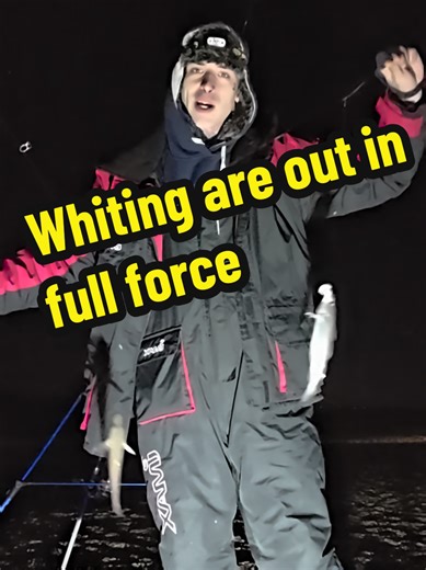 Busy night down the local beach with my mate @Aden the Angler 41 whiting between us 😂 mental fish or double shot every cast. A good stock up of conger bait for sure 🤙 @Fish Frenzy Bait Co. sardines doing the business #fyp #fishing #seafishing #whiting