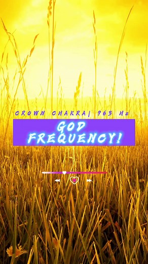 8.3K views · 371 reactions | ✨ Discover the Ultimate Sound of...