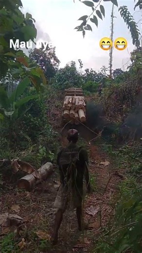 Oldest Jeep Log Truck Still Working Deep in the Forest 🚙💪 | Ultimate Off-Road Legend!