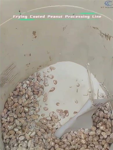 Nut coating and frying equipment