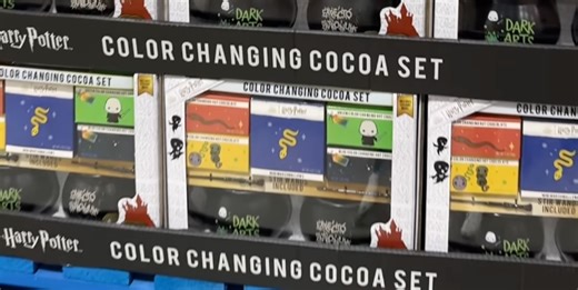 Harry Potter Fans Are Going To Lose It Over Costco's Latest Product Drop