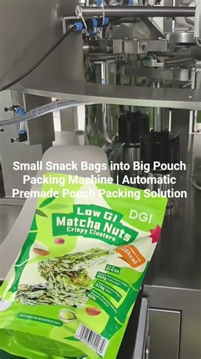 Small Snack Bags into Big Zipper Handle Pouch | Automatic Premade Pouch Packing Machine