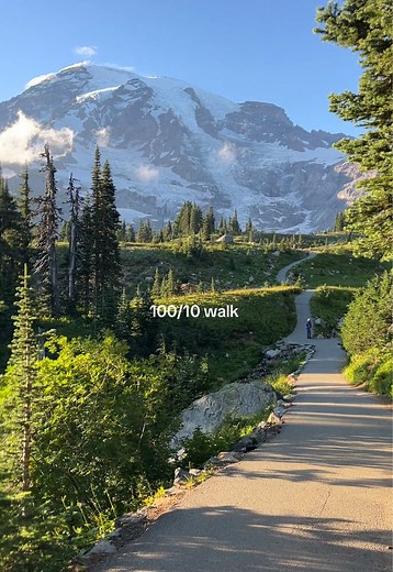 Exploring Paradise in Mount Rainier National Park