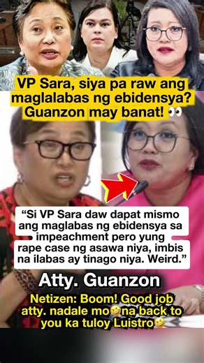 Guanzon, may banat sa isyu ng ebidensya kay vp sara