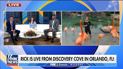 Chief meteorologist Rick Reichmuth is celebrating National Weatherperson's Day, from Discovery Cove in Orlando, FL! We caught up in with him - and his feathery friends! | Fox & Friends
