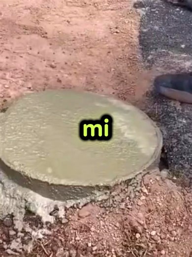 La Historia Completa de Coyote Reddit