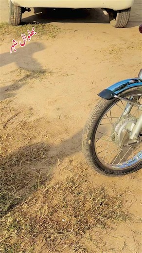 Exploring Bhalwal City: A Cultural Insight