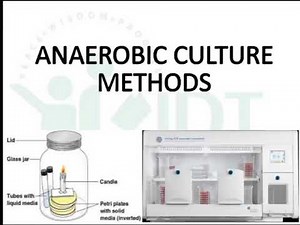 Bacterial Culture methods Part 2: Anaerobic culture method
