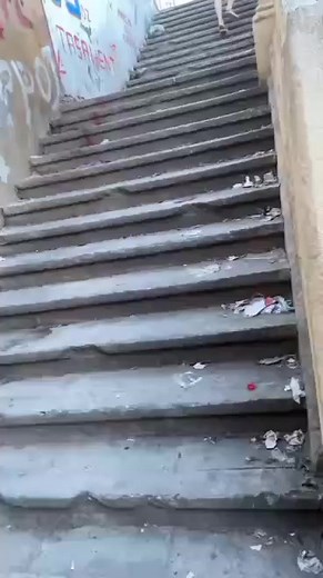 PRÉSERVER LA NATURE PRÉSERVER VOTRE VILLE | Béjaia La Vérité