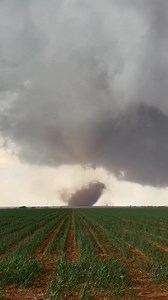 Earlier this afternoon: The dusty #Tornado that formed west of Littlefield, #Texas from our chaser Storm Chaser Brett Wright! Luckily the worst stayed over open land. #txwx | Texas Storm Chasers