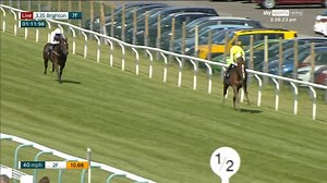 One of you easiest winners you'll ever see! Positive Impact won at odds of 1/66 at Brighton today! 😮 | At The Races