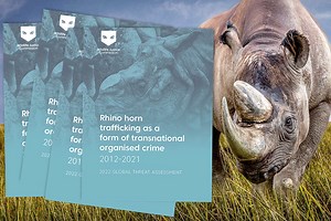 Rhino horn trafficking as a form of transnational organised crime